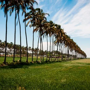 Terminal Terramovil en La Unión